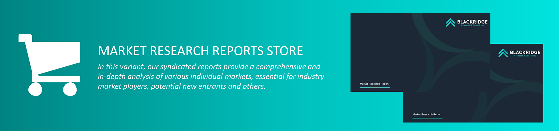 market research report store inc