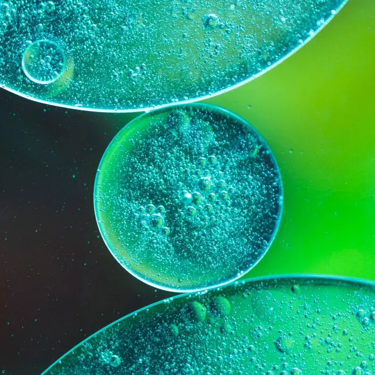 Avaada Group Signs a Green Ammonia Supply Agreement