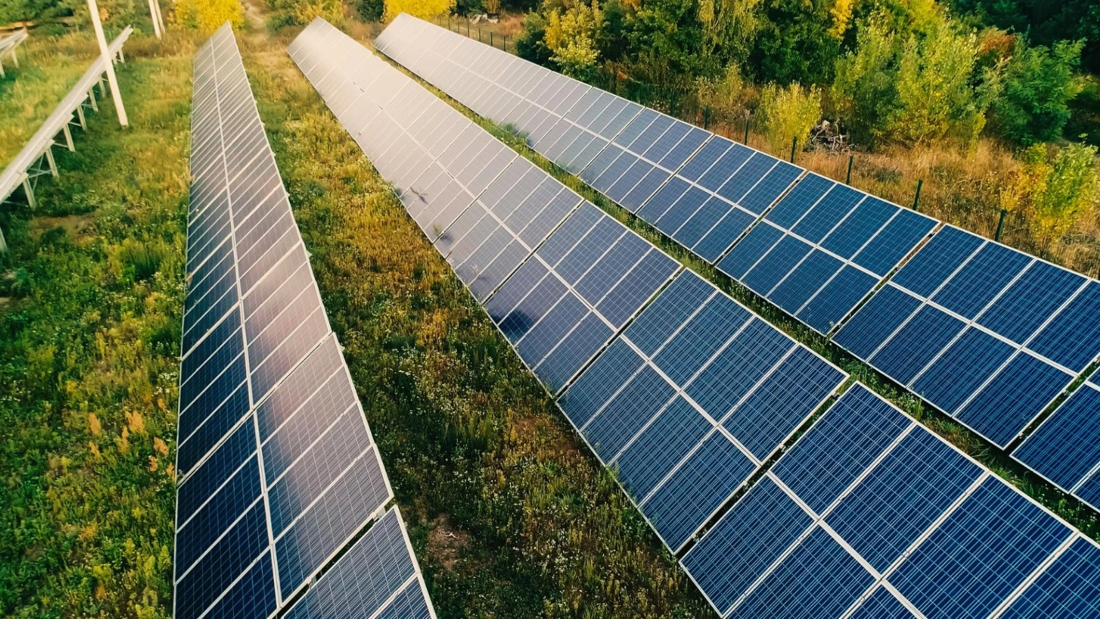 Waaree Energies will supply 445 MW of Solar Modules to Statkraft India