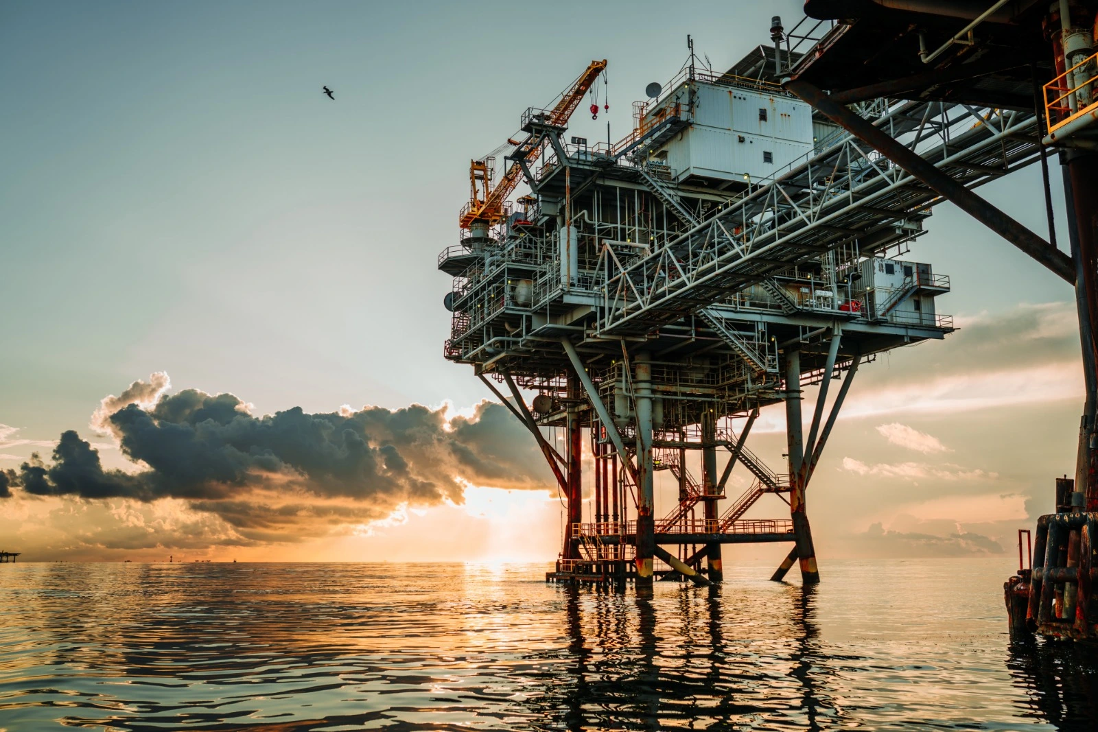 Oil fields