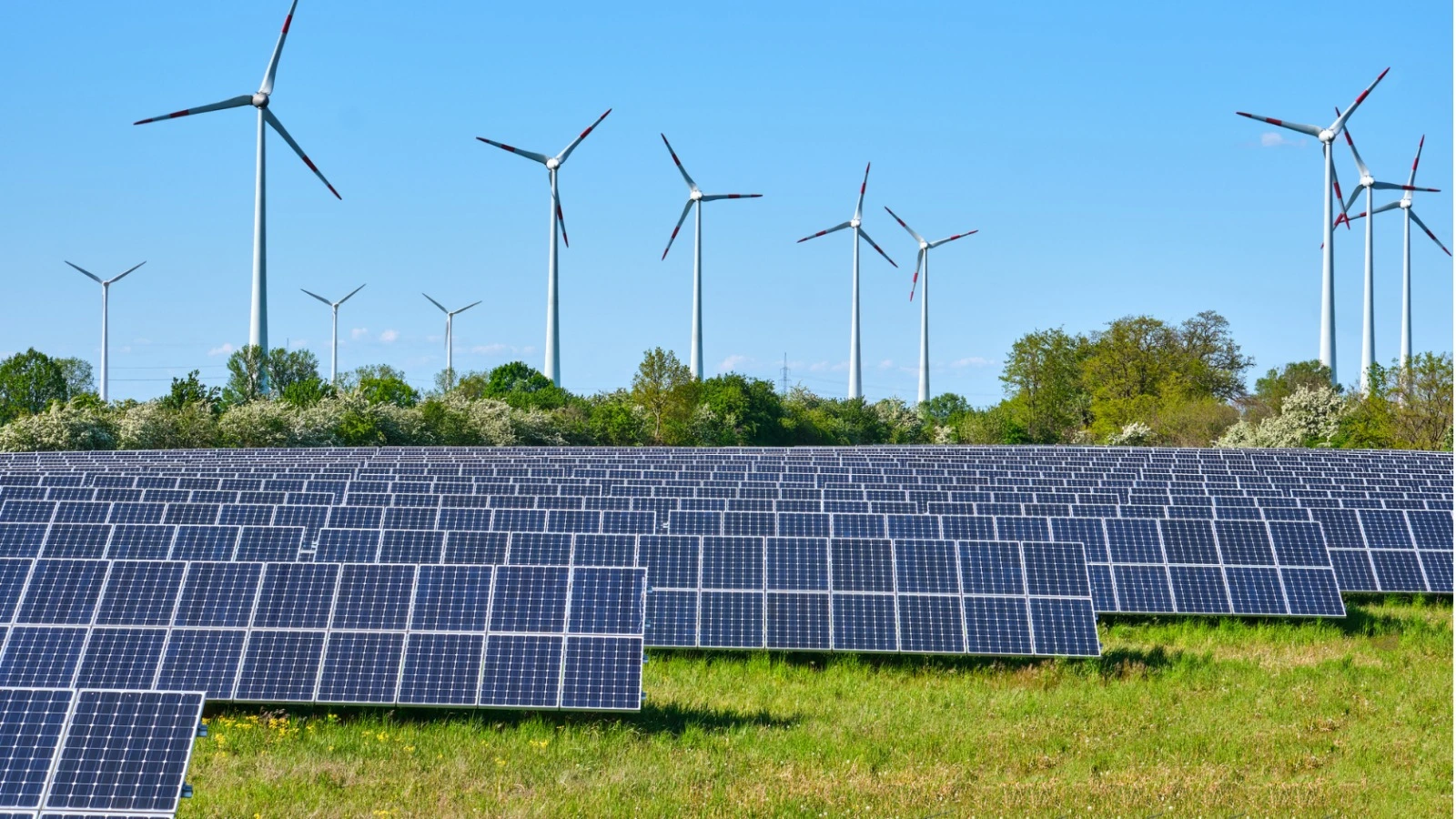 ReNew and Societe Generale sign MoU for $1 Billion in Financing for Renewable Energy Projects