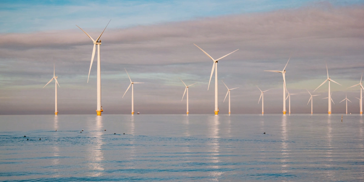 Onshore wind vs Offshore Wind Farm: Difference Explained