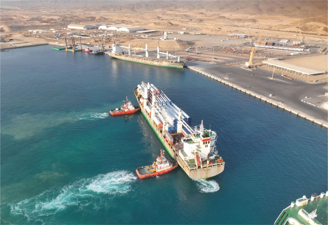 neom green hydrogen plant