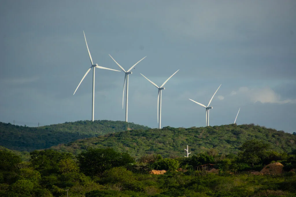 EDF wind farm construction company