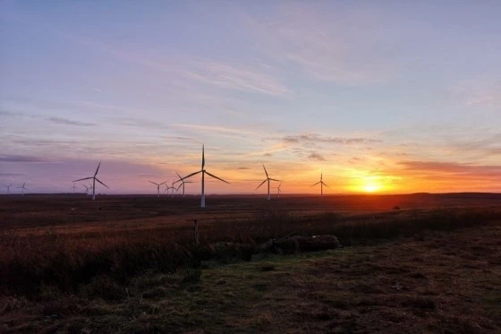 Whitelee wind farm