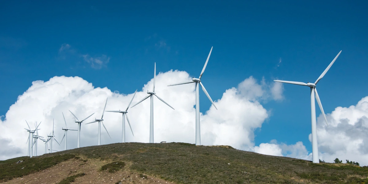 Onshore wind vs Offshore Wind Farm: Difference Explained