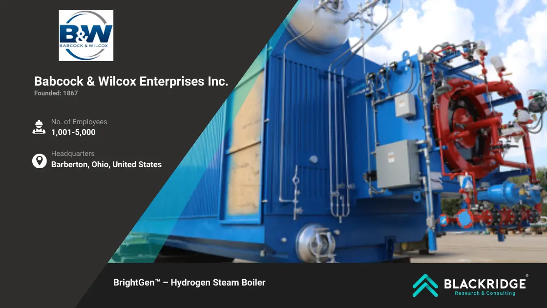 top hydrogen boiler manufacturers global