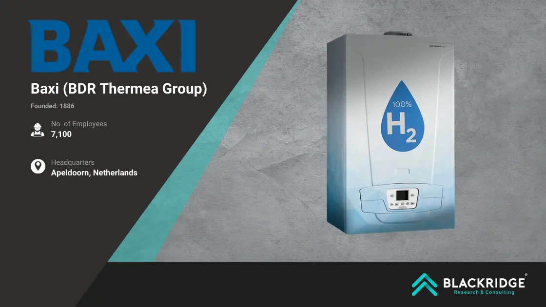 top hydrogen boiler manufacturers global