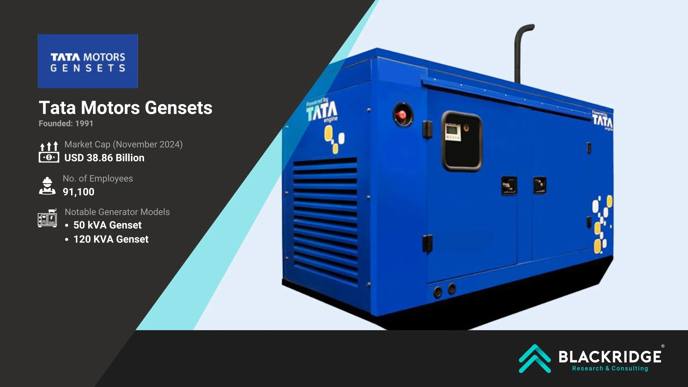 Diesel generator manufacturer in India - CAT