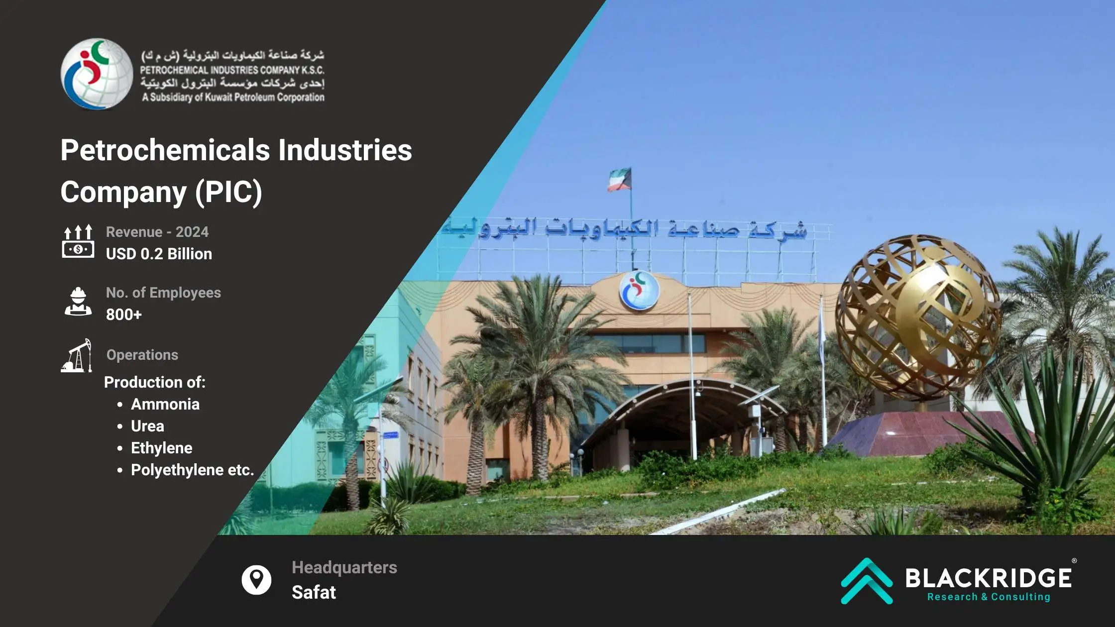 Petrochemicals Industries Company (PIC)