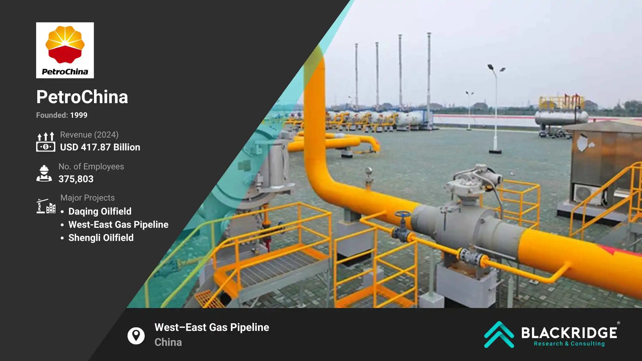Largest oil and gas companies: PetroChina