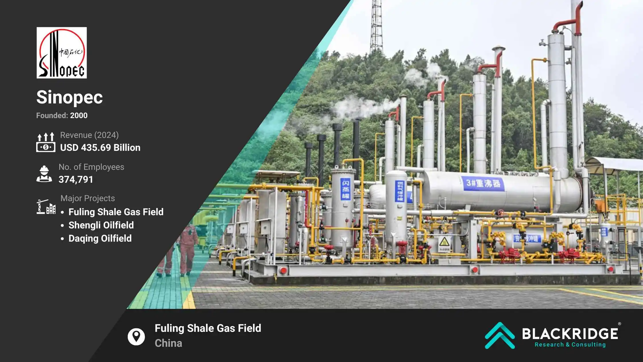 large oil and gas companies: SINOPEC