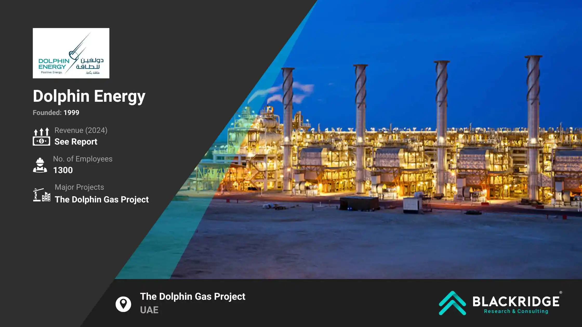 Dolphine energy: oil and gas company